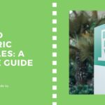 Hybrid Electric Vehicles