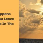 What Happens When You Leave Your Bike In The Sunlight